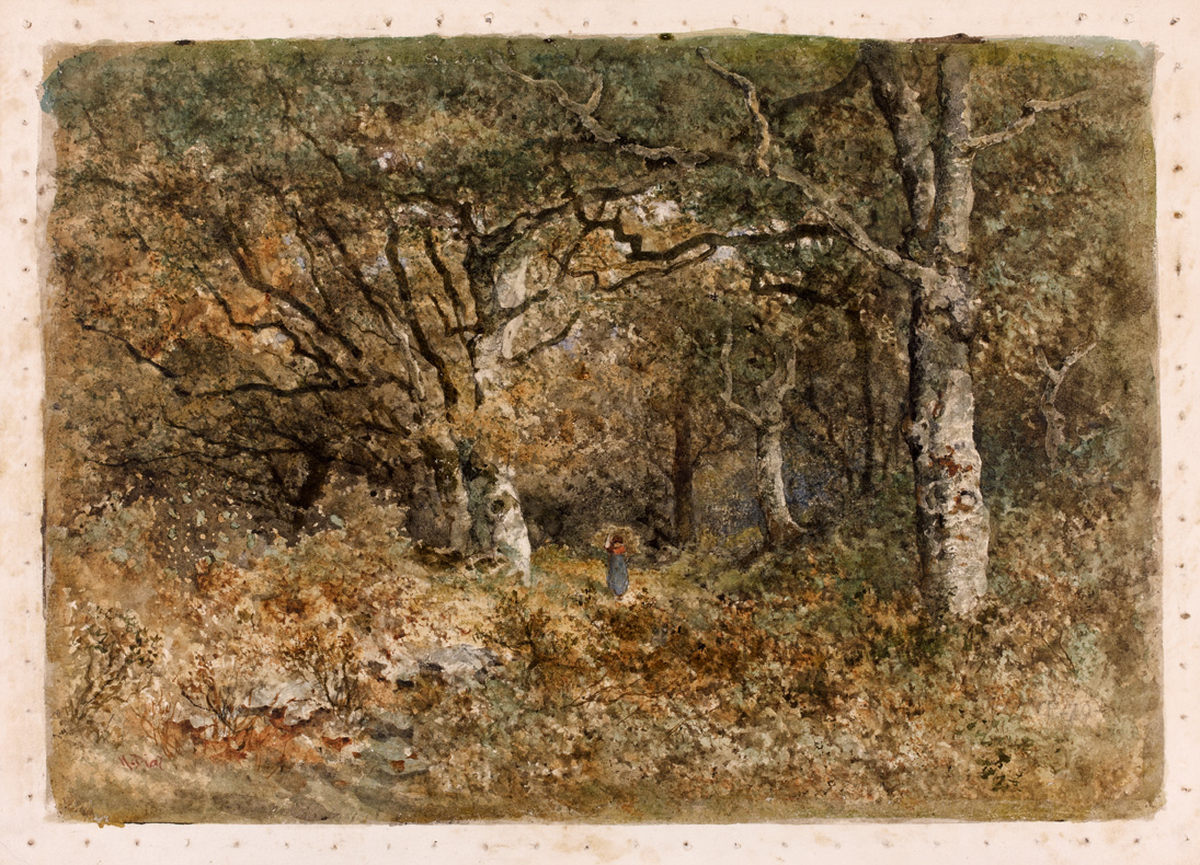 Diaz de la Pena Sous-bois BDef