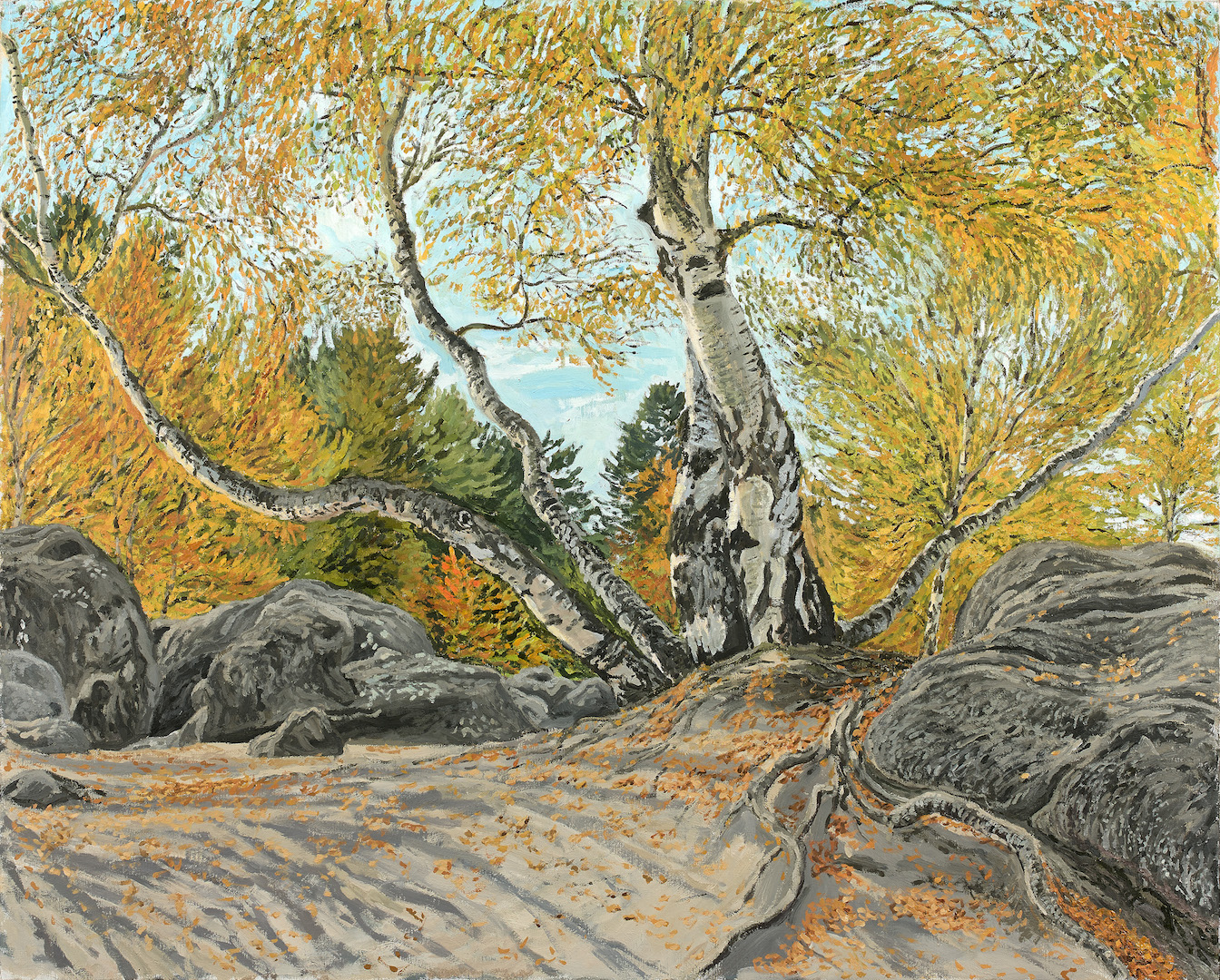 Birch Tree in the Trois Pignons, Sunny Octobre