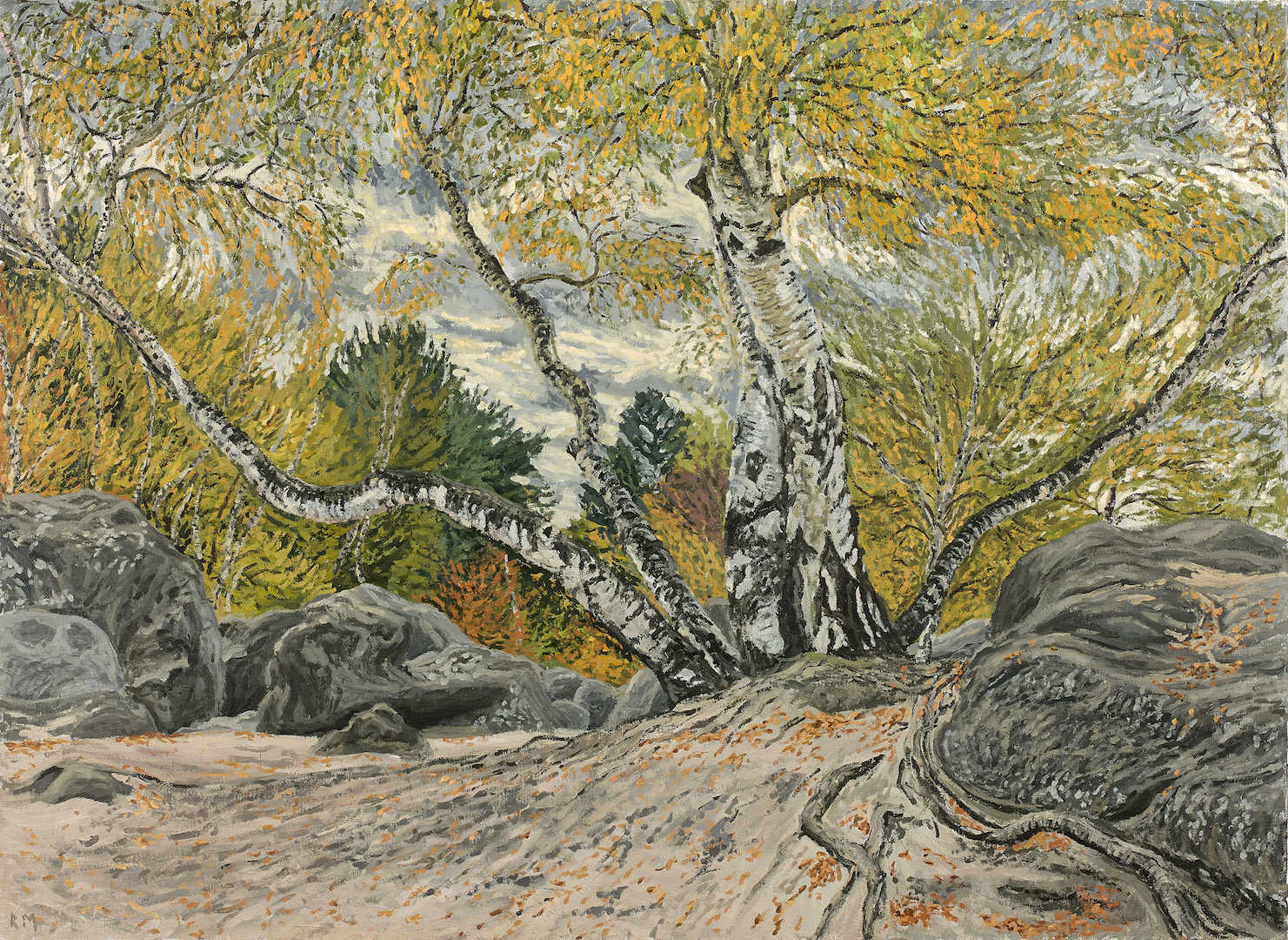 Birch Tree in the Trois Pignons, Cloudy Day