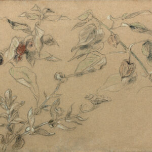 BT180328_004_GMM__RVB HDef – copie