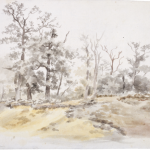 Capture d’écran 2025-02-11 à 15.02.44