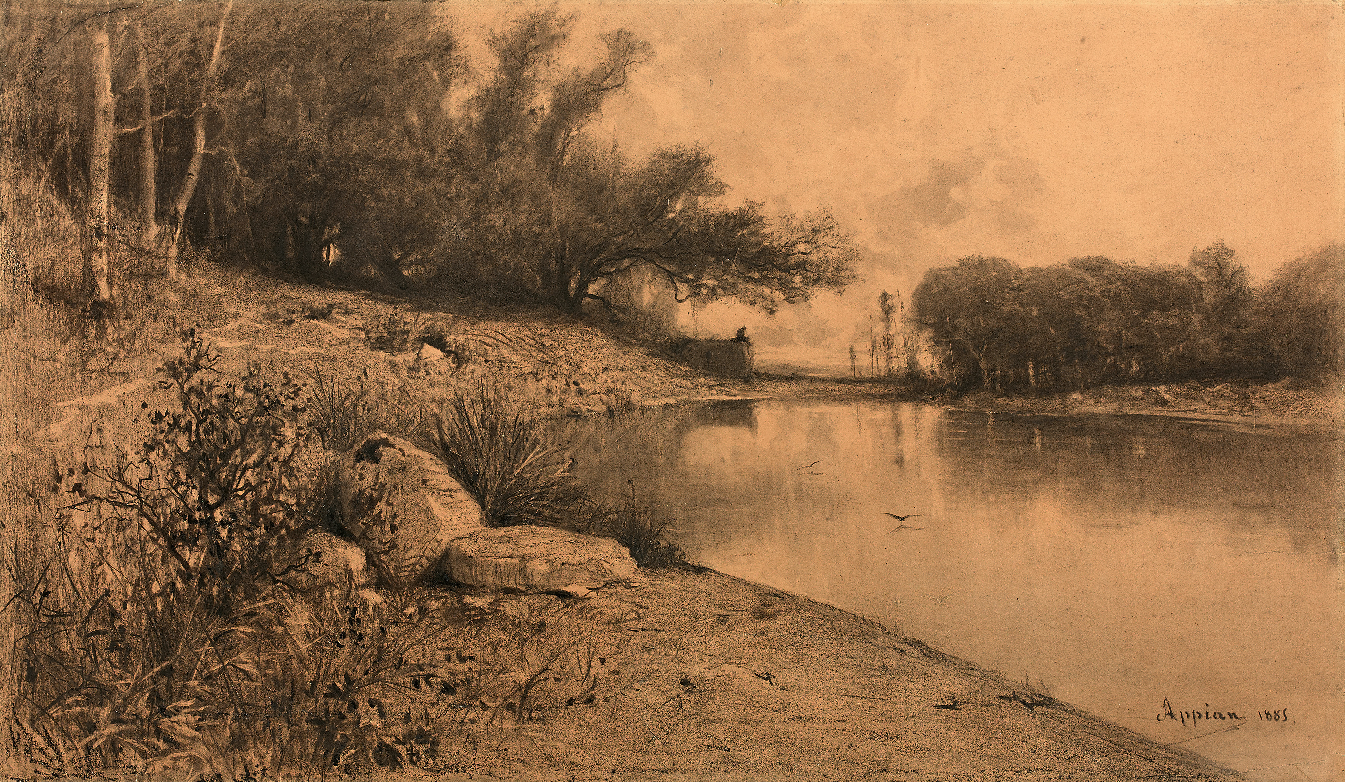 download-36 download-36