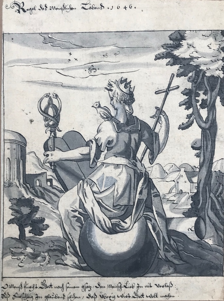 download-5 download-5