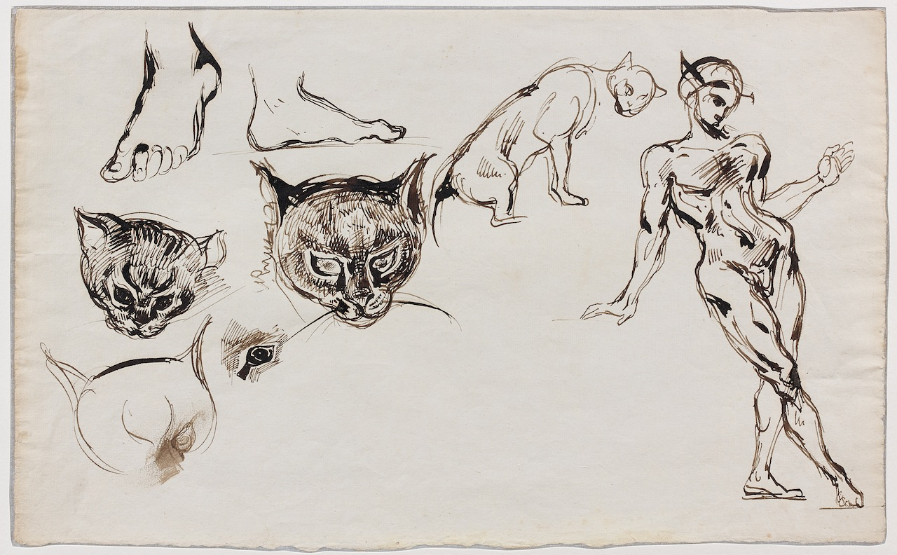 download-44 download-44